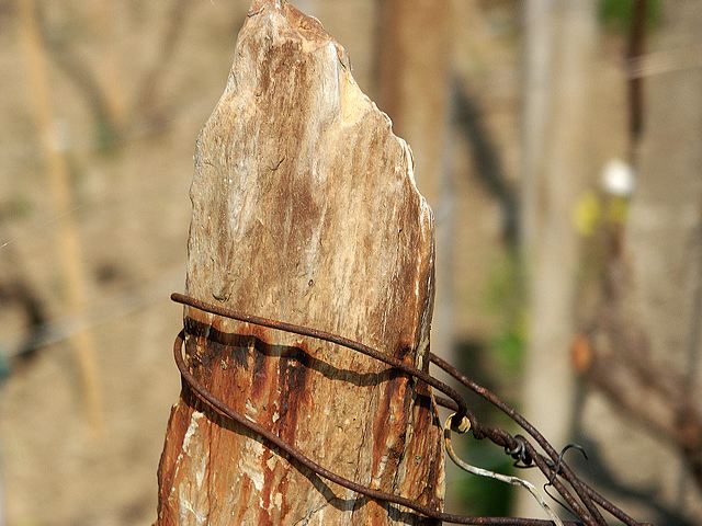 pict2621.jpg
