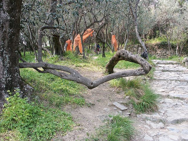 pict2626.jpg