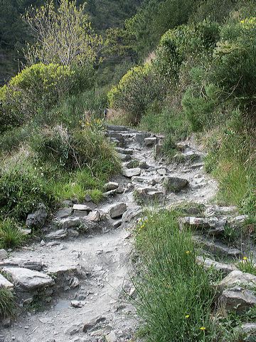 pict2640.jpg