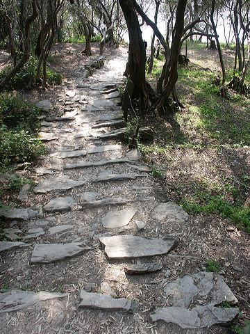 pict2656.jpg