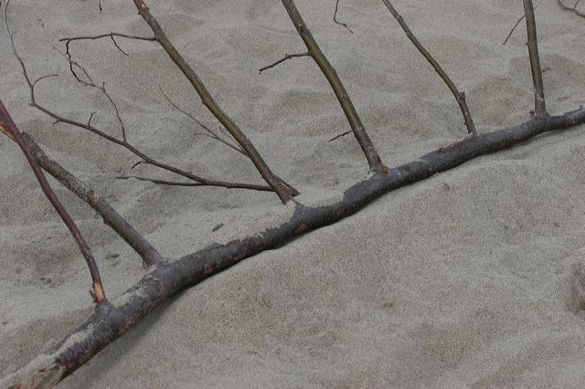 viareggio0006.jpg