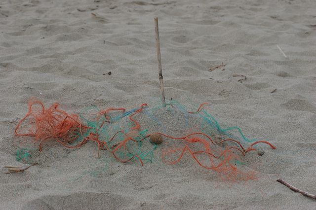 viareggio0007.jpg