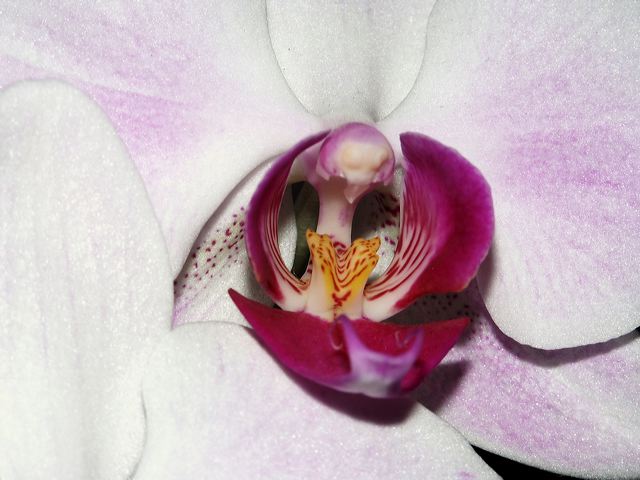 pict0003.jpg