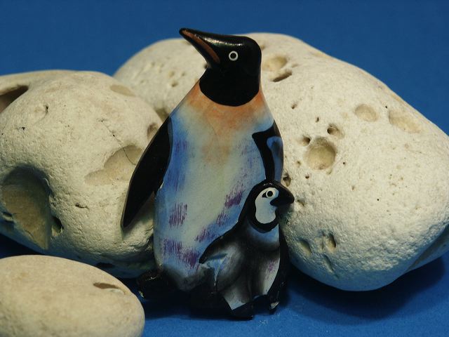 pict0024.jpg