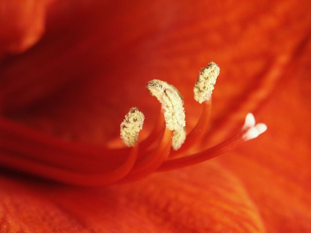 pict0044.jpg