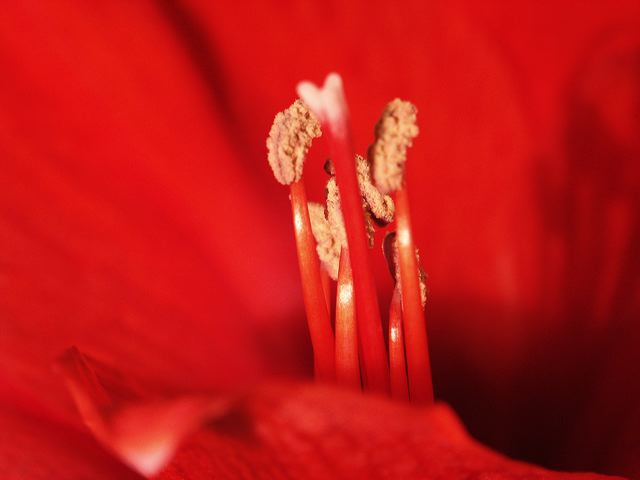 pict0058.jpg