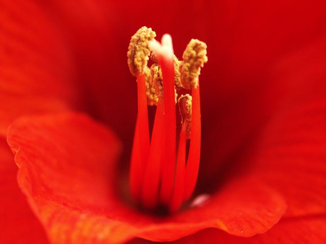 pict0067.jpg