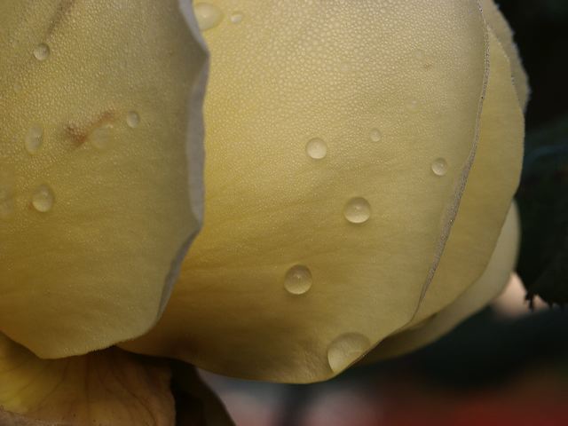 pict0100.jpg