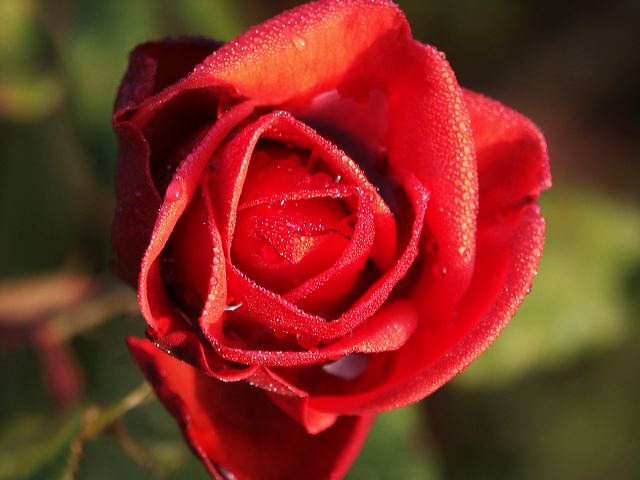 pict0102.jpg