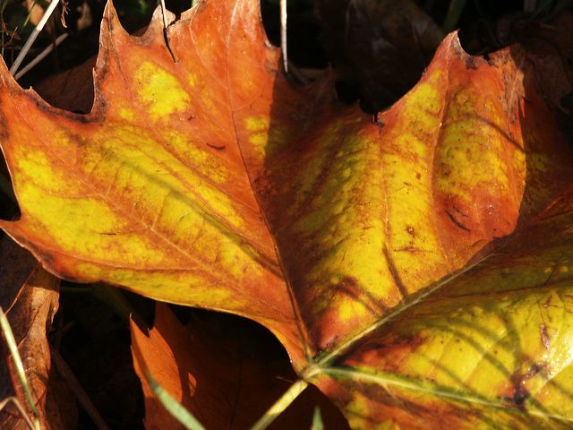 pict0106.jpg