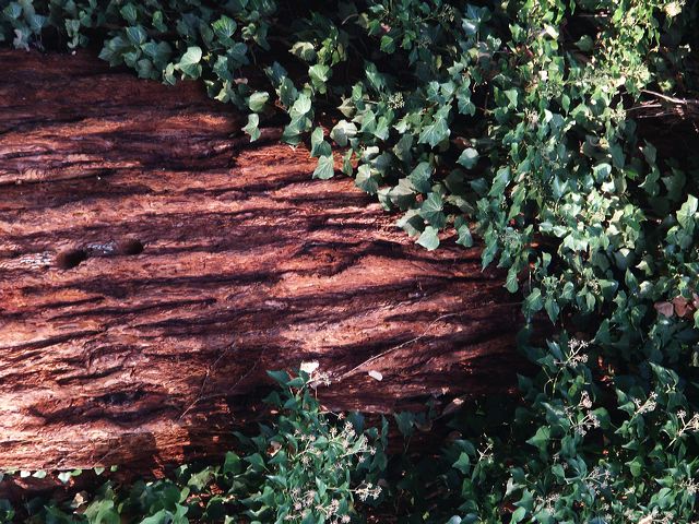 pict0116.jpg