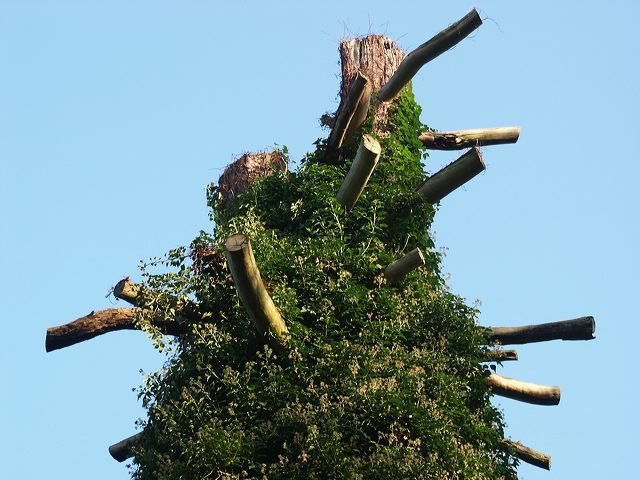 pict0124.jpg