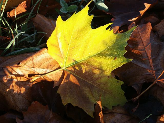 pict0129.jpg