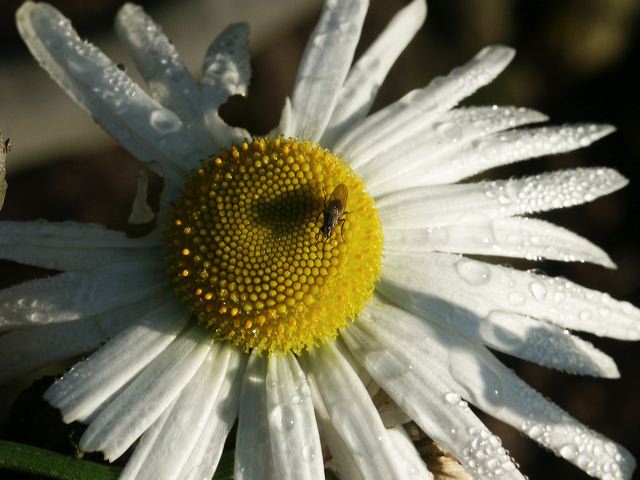 pict0165.jpg