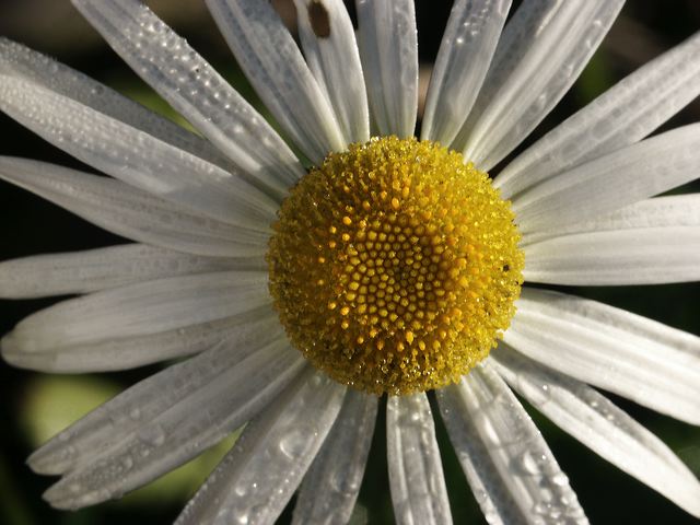pict0167.jpg