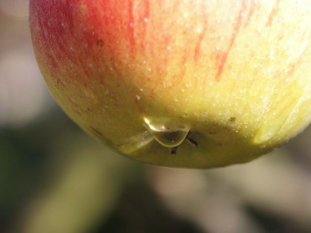 pict0170.jpg