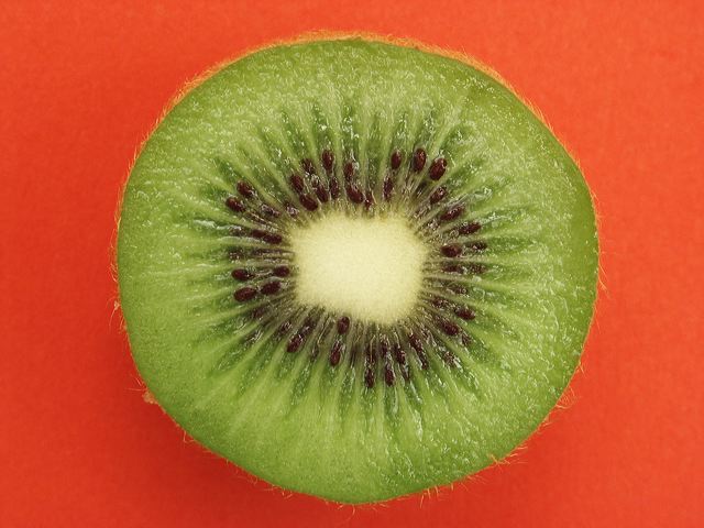 pict0236.jpg