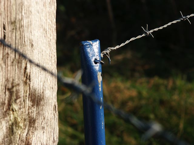 pict0729.jpg