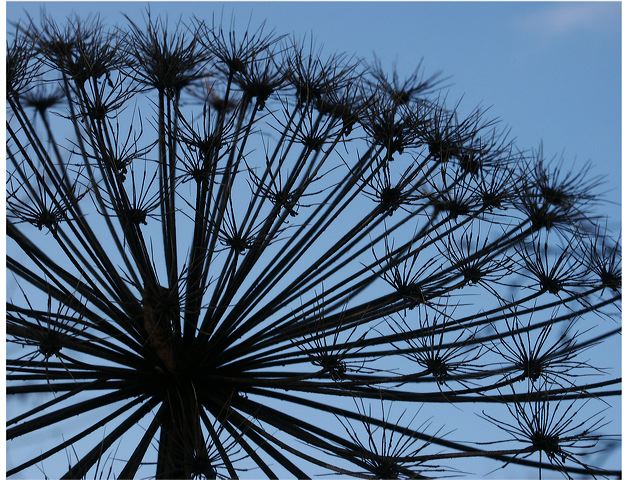 pict0779.jpg