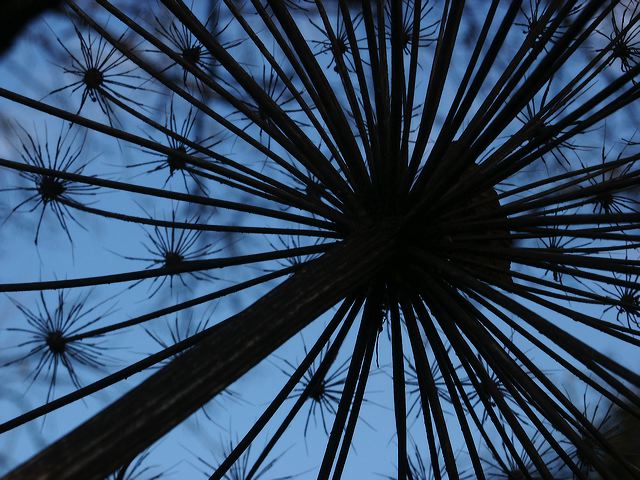pict0785.jpg