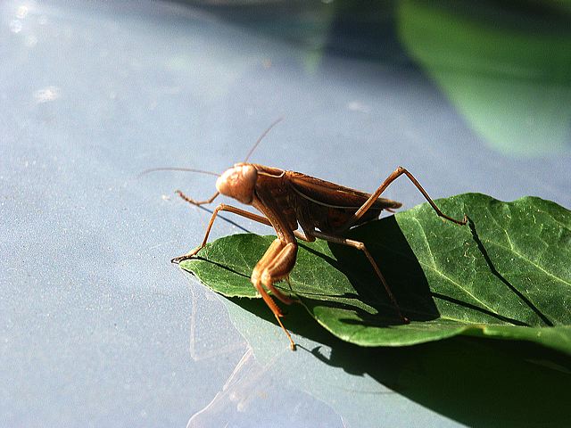 pict0914_t_s.jpg