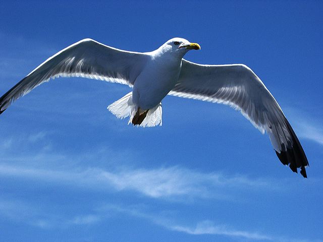 pict0999_t_s.jpg