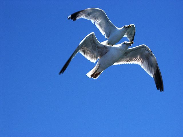 pict1002_t_s.jpg