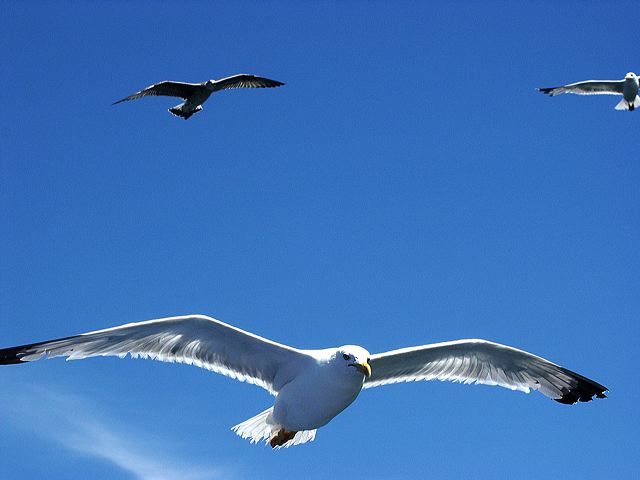 pict1007_t_s.jpg