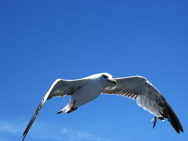 pict1010_t_s.jpg