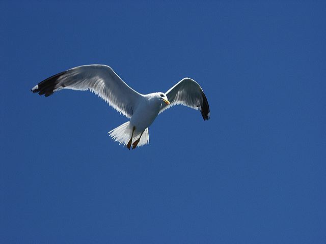 pict1012_t_s.jpg