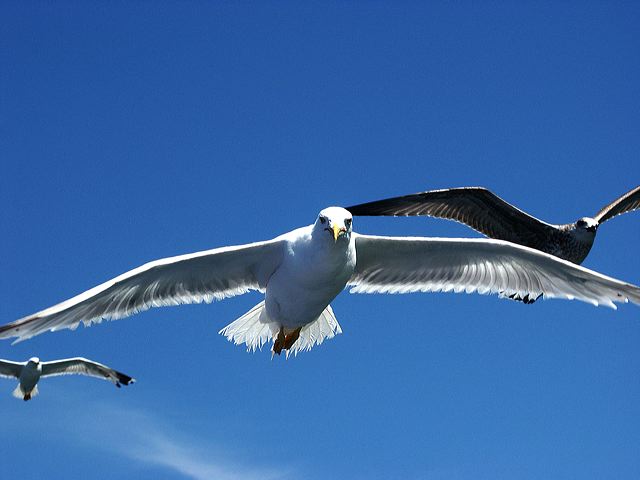 pict1013_t_s.jpg