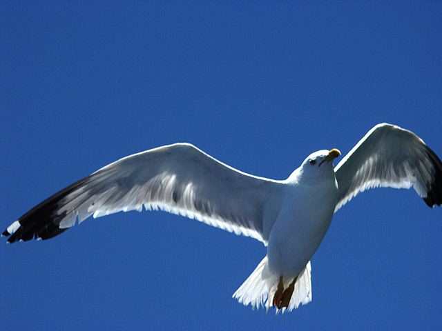 pict1016_t_s.jpg