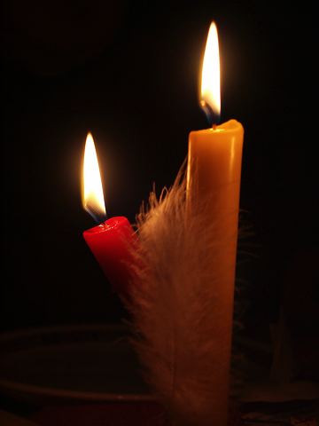 pict1195.jpg
