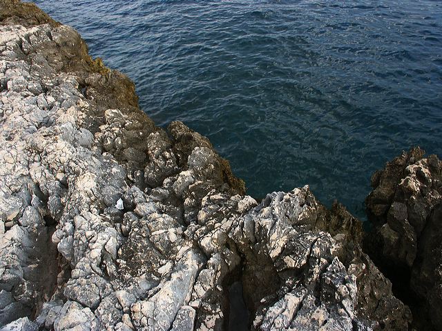 pict1291_t_s.jpg