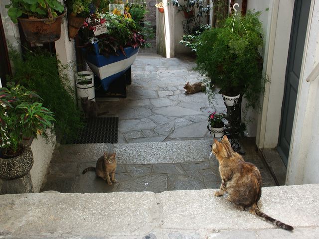 pict3970.jpg