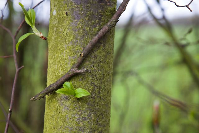 _mg_0350-.jpg