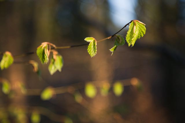 _mg_0693.jpg