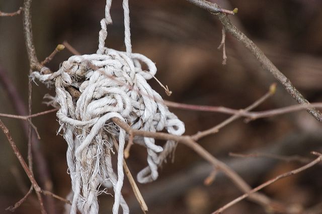 _mg_0972-2_s.jpg