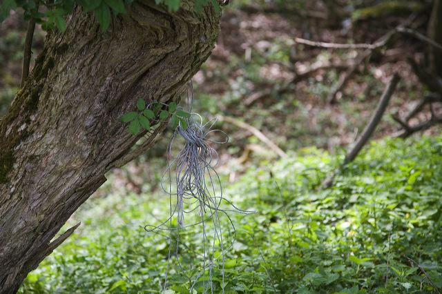 _mg_0985-2_1.jpg
