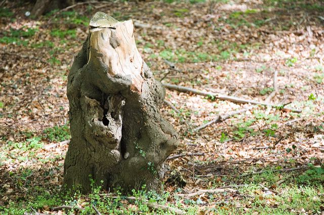 _mg_0989.jpg