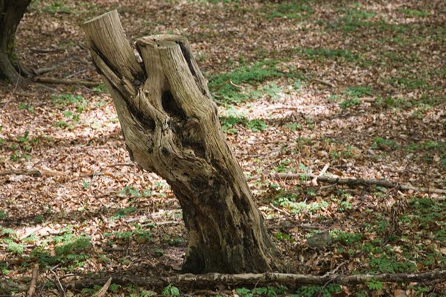 _mg_0991.jpg