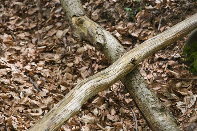 _mg_0995.jpg