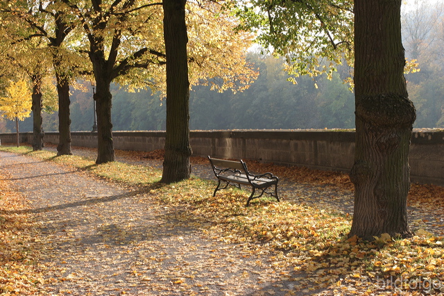 121_wurzburg.jpg