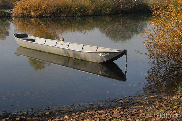 61_wurzburg_s.jpg