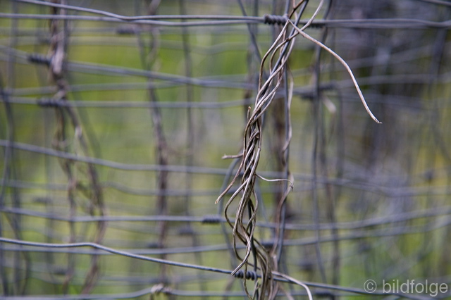 _mg_2154-2.jpg