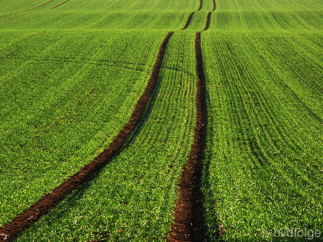 rommersdorfer_feld_07.jpg