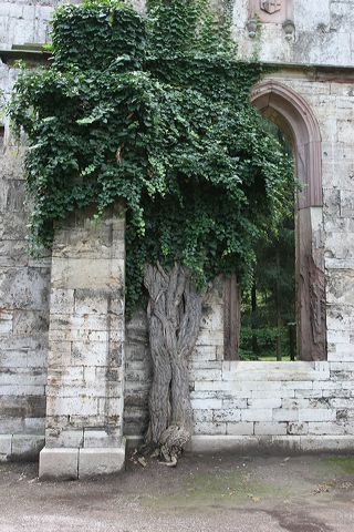 img_3782.jpg