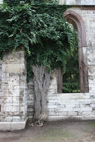 img_3785.jpg