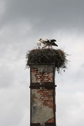 img_4365.jpg