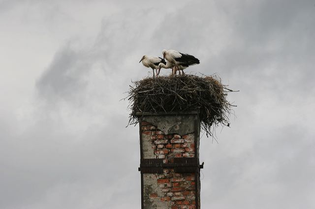 img_4366.jpg